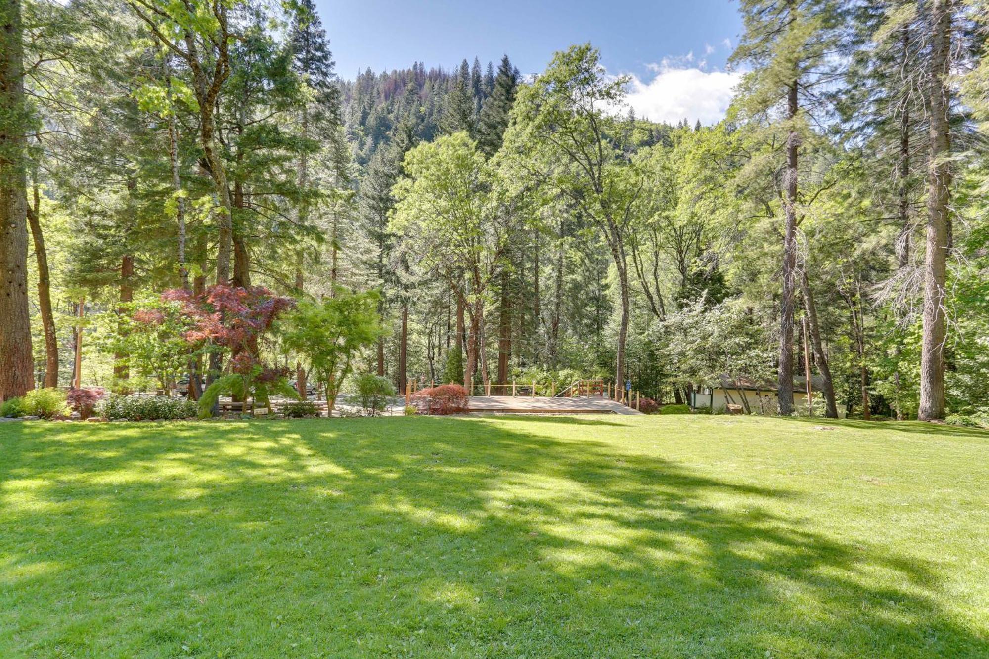 Dunsmuir Apartment About 17 Mi To Mt Shasta Ski Park! Экстерьер фото